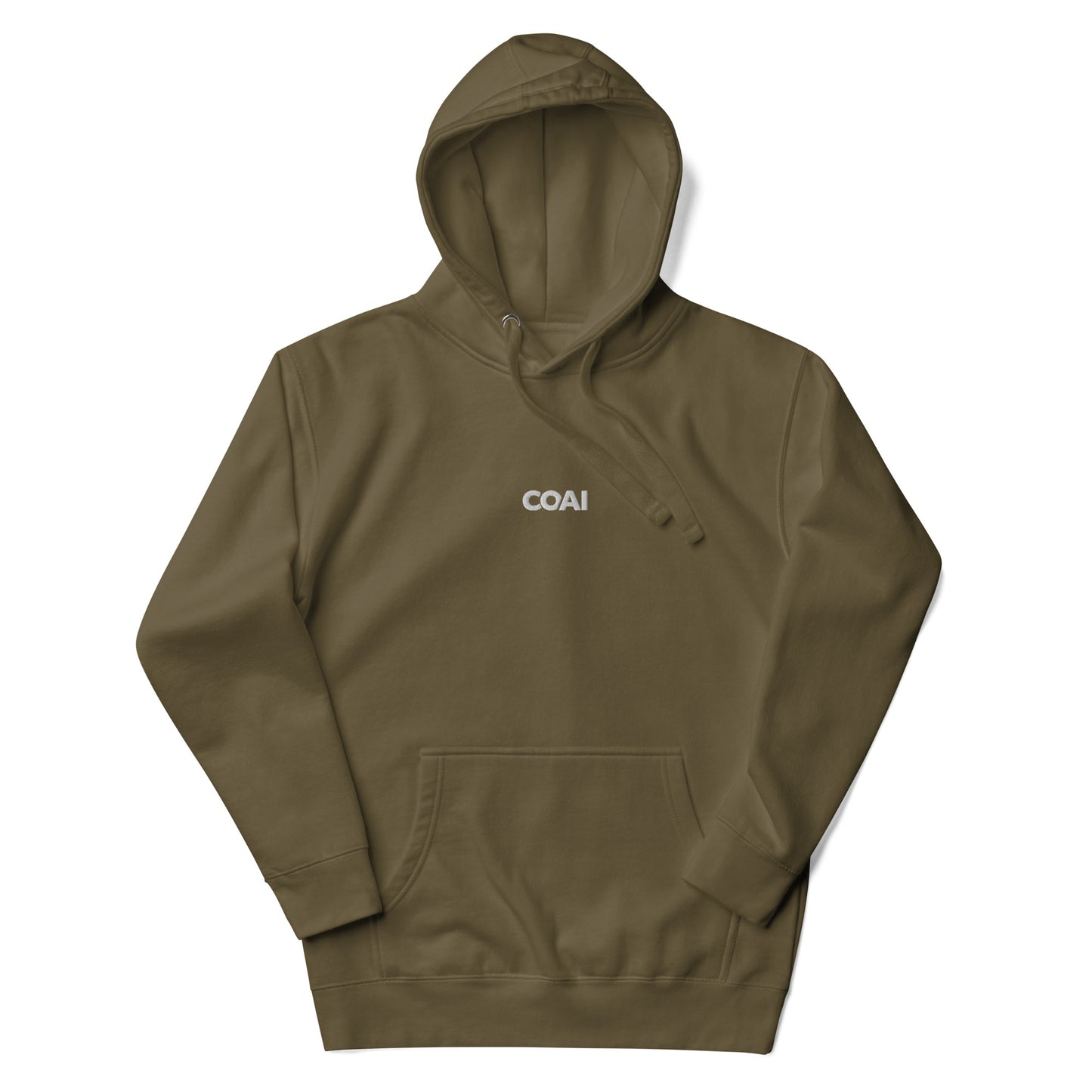 CO/AI Premium Unisex Hoodie